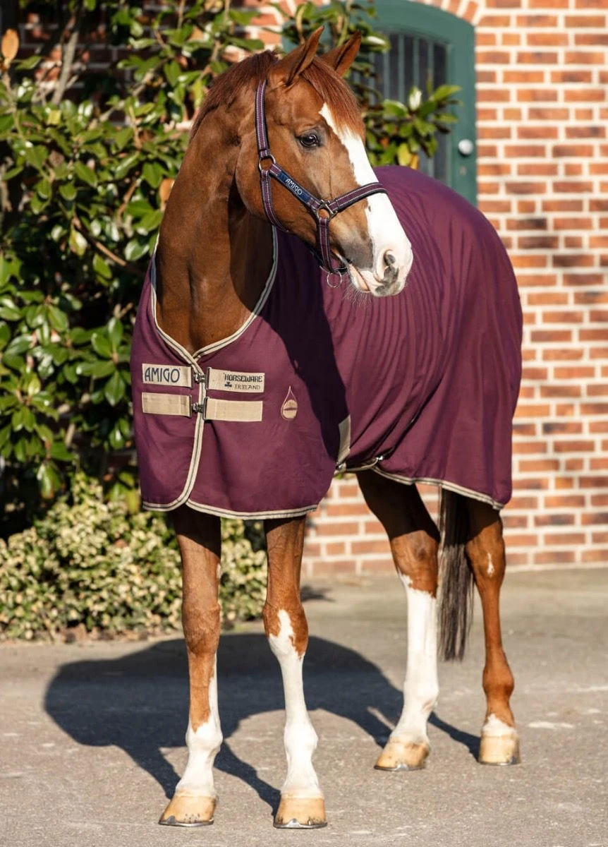 Amigo Stable Sheet - Fig 3 Amigo Stable Sheet - Fig