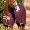 Amigo Jersey Cooler - Fig -Equestrian Supply Store jerseycoolfigrdy