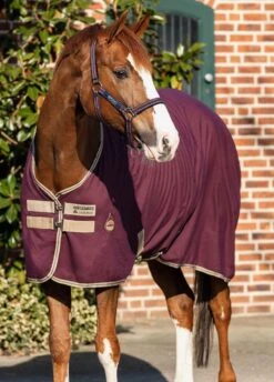 Amigo Jersey Cooler - Fig