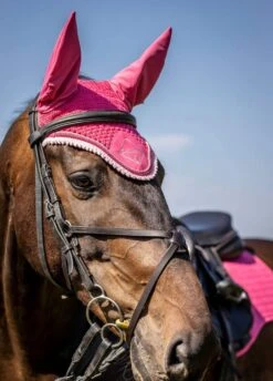 LeMieux Classic Fly Hood - Watermelon 7 LeMieux Classic Fly Hood - Watermelon -Equestrian Supply Store lemieux fly hood watermelon 3rdy