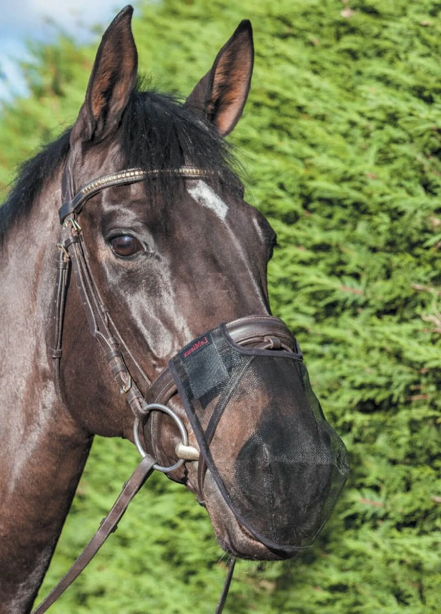 LeMieux Comfort Shield Nose Filter - Brown 4 LeMieux Comfort Shield Nose Filter - Brown - Image 2