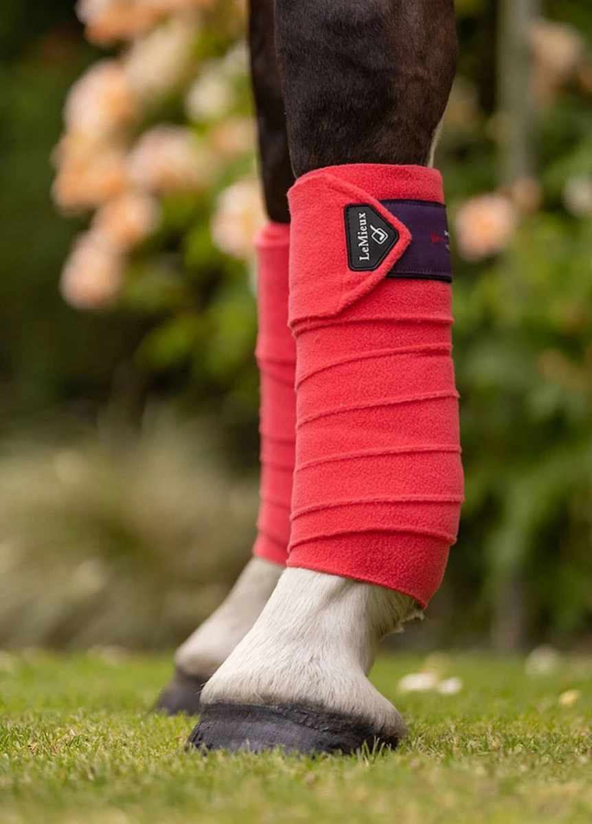 LeMieux Classic Polo Bandages - Papaya 4 LeMieux Classic Polo Bandages - Papaya - Image 2