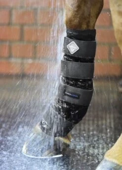 Equestrian Supply Store -Equestrian Supply Store lm cold water boot black 2rdy