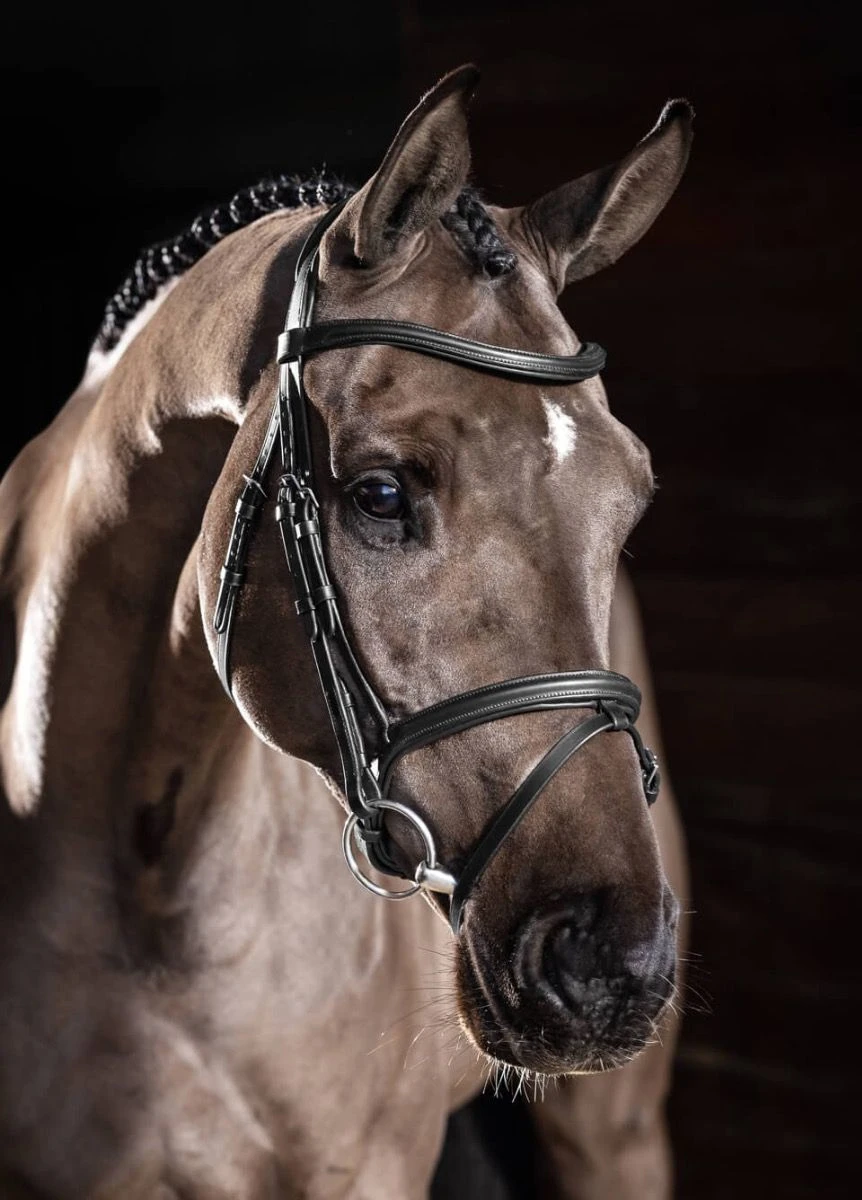 LeMieux Arika Flash Bridle - Black/Silver 3 LeMieux Arika Flash Bridle - Black/Silver
