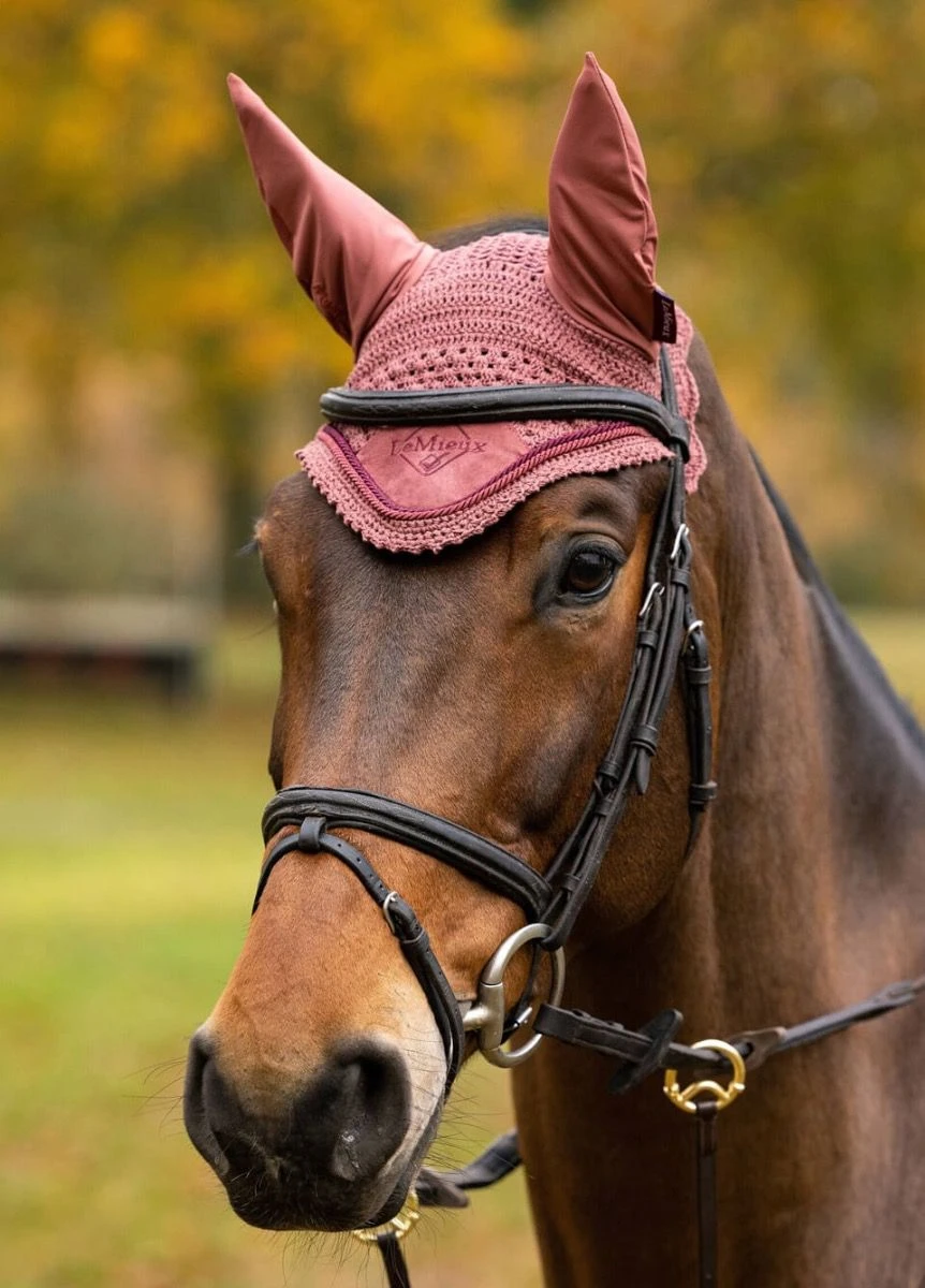 LeMieux Classic Fly Hood - Orchid 3 LeMieux Classic Fly Hood - Orchid