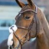 LeMieux Arika Grackle Bridle - Havana/Silver 2 LeMieux Arika Grackle Bridle - Havana/Silver -Equestrian Supply Store lm grackle bridle havana 1rdy