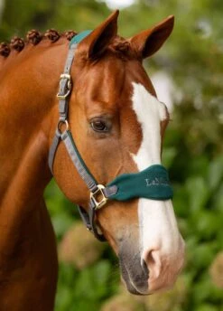 LeMieux Vogue Fleece Headcollar & Leadrope - Spruce -Equestrian Supply Store lm headcollar spruce 1rdy