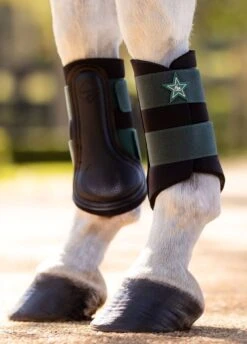 LeMieux Mini Brushing Boots - Spruce -Equestrian Supply Store lm mini grafter spruce 3rdy