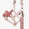 LeMieux Mini Vogue Headcollar & Leadrope - Pink Quartz -Equestrian Supply Store lm mini vogue pink 1rdy