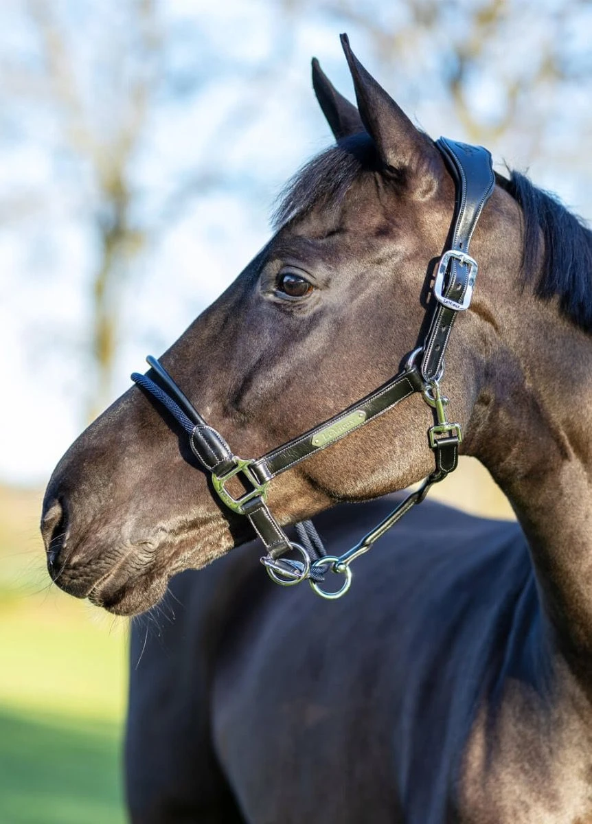 LeMieux Rope Control Headcollar - Black 3 LeMieux Rope Control Headcollar - Black