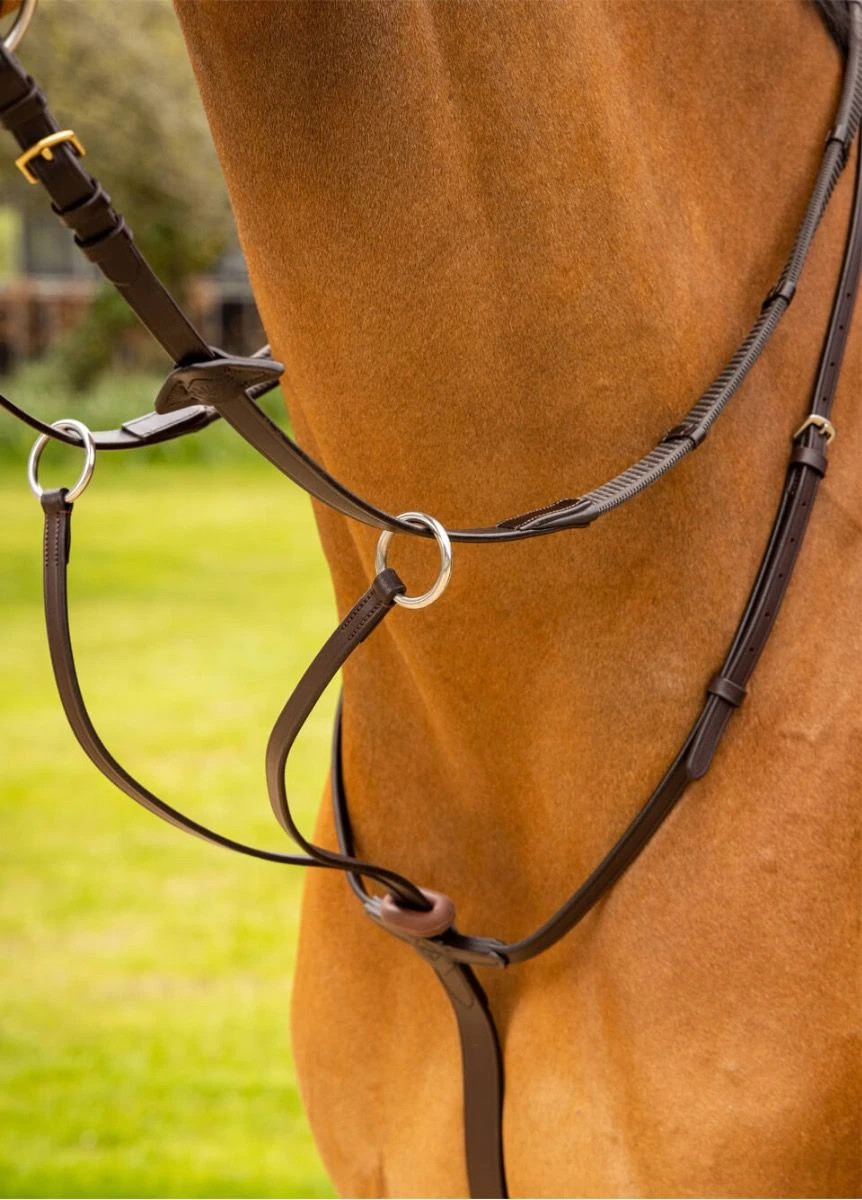 LeMieux Arika Running Martingale - Brown/Silver 3 LeMieux Arika Running Martingale - Brown/Silver