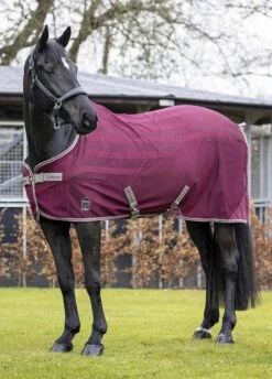 LeMieux Arika Air-Tek Sheet - Burgundy