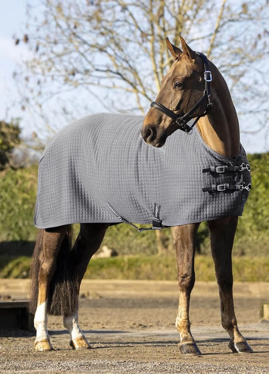 LeMieux Arika Clima-Tek Rug - Grey 3 LeMieux Arika Clima-Tek Rug - Grey