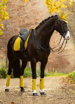 LeMieux Suede Dressage Square - Dijon -Equestrian Supply Store lmdressdijon3rdy