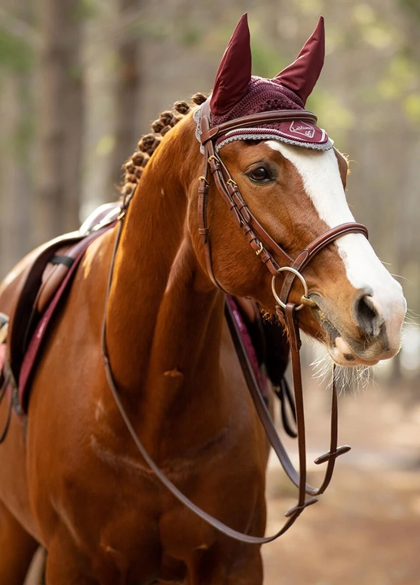 LeMieux Classic Fly Hood - Rioja 4 LeMieux Classic Fly Hood - Rioja - Image 2