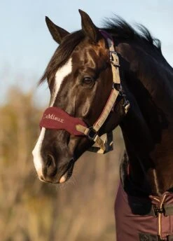 LeMieux Vogue Fleece Headcollar & Leadrope - Rioja 5 LeMieux Vogue Fleece Headcollar & Leadrope - Rioja -Equestrian Supply Store lmheadcollarrioja2rdy