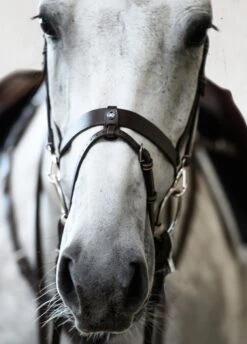 PS Of Sweden London Bridle - Black -Equestrian Supply Store londonbrn5rdy