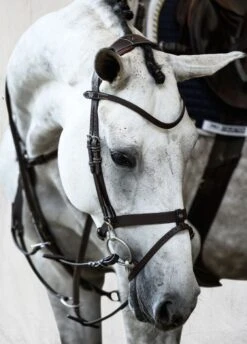 PS Of Sweden London Bridle - Black