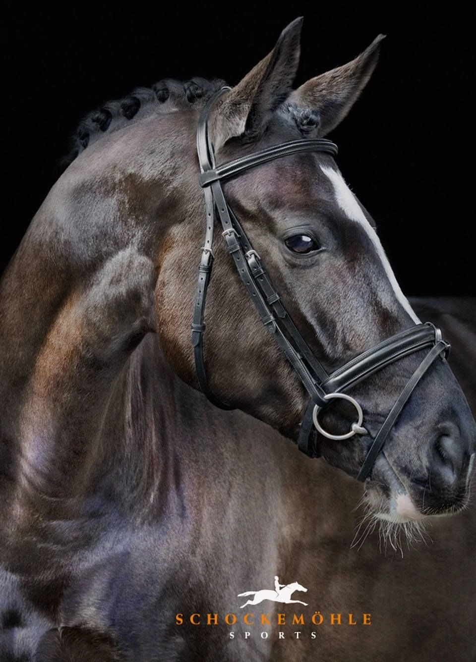 Schockemohle Neo Line Mannheim Bridle - Black 4 Schockemohle Neo Line Mannheim Bridle - Black - Image 2