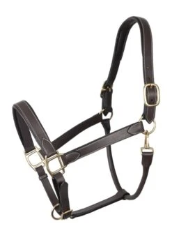 Mark Todd Leather Headcollar - Havana/White -Equestrian Supply Store mark todd leather headcollar 2rdy