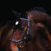 Rambo Micklem Multi Bridle - Brown 2 Rambo Micklem Multi Bridle - Brown -Equestrian Supply Store micklem multi brnx