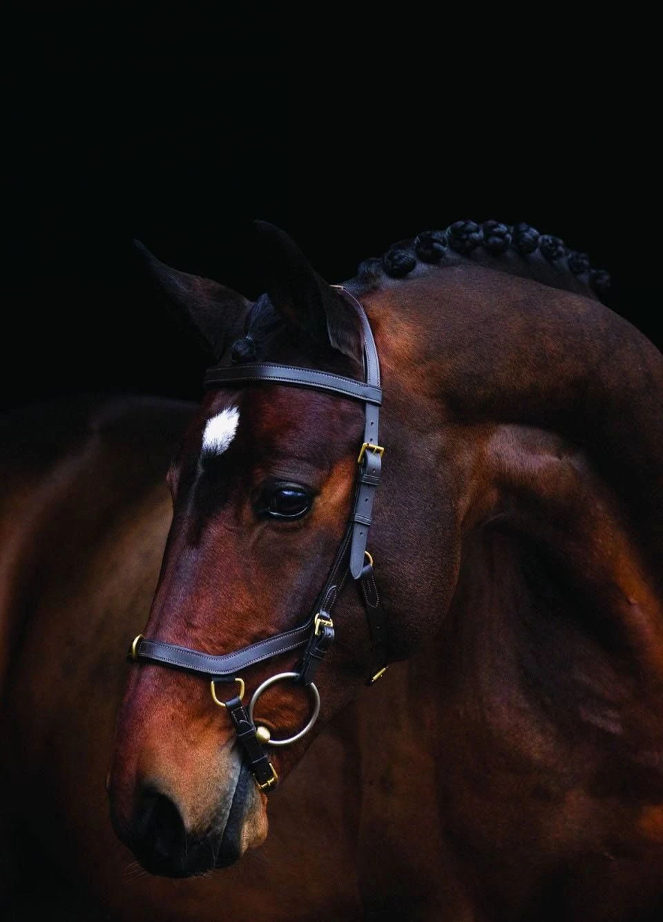 Rambo Micklem Multi Bridle - Brown 3 Rambo Micklem Multi Bridle - Brown