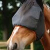 Equilibrium Field Relief Midi Fly Mask With Ears - Black/Orange 1 Equilibrium Field Relief Midi Fly Mask With Ears - Black/Orange -Equestrian Supply Store midiwithearsflymask