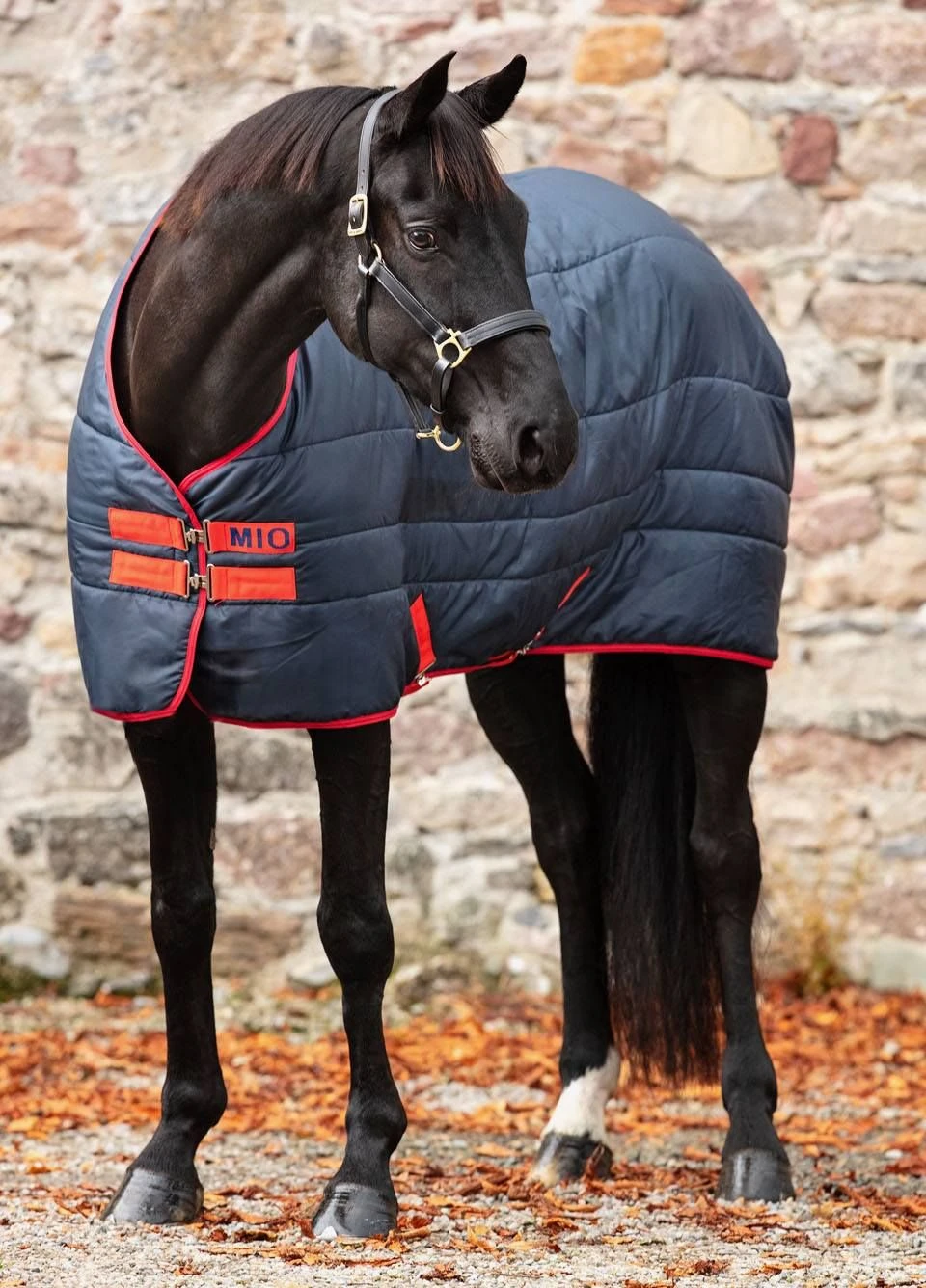 Amigo Mio Insulator Heavy - Navy/Red 3 Amigo Mio Insulator Heavy - Navy/Red