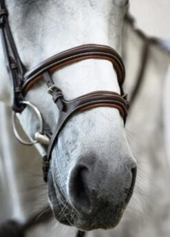 PS Of Sweden Paris Bridle - Brown -Equestrian Supply Store parisbrn5rdy