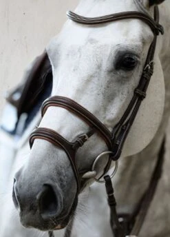 PS Of Sweden Paris Bridle - Brown -Equestrian Supply Store parisbrn7rdy