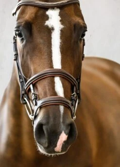 PS Of Sweden Paris Bridle - Brown -Equestrian Supply Store parisbrnrdy