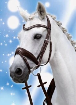 Passierblu Spirit Snaffle Bridle - Black 5 Passierblu Spirit Snaffle Bridle - Black -Equestrian Supply Store passblue