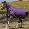 Weatherbeeta Comfitec Plus Dynamic Combo Lite Turnout - Purp/Blk -Equestrian Supply Store plusdynamiccomboliterdy 1