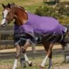 WeatherBeeta ComFiTec Plus Dynamic Standard Neck Lite Rug - Purple/Black 2 WeatherBeeta ComFiTec Plus Dynamic Standard Neck Lite Rug - Purple/Black -Equestrian Supply Store plusdynamicstdlite2rdy