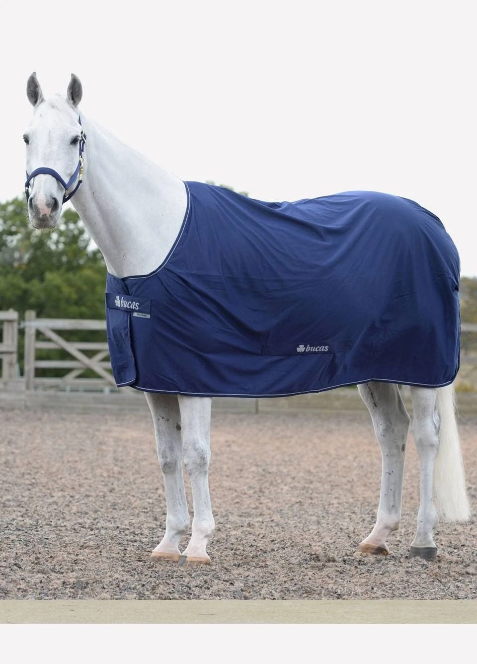 New Bucas Power Cooler - Navy 4 New Bucas Power Cooler - Navy - Image 2