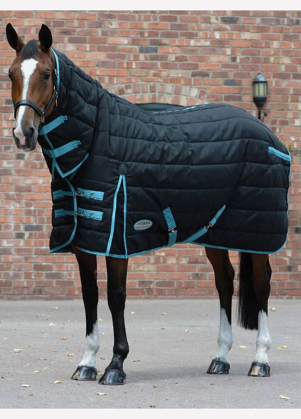 Weatherbeeta ComFiTec PP Channel Quilt Combo Heavy Stable Rug - Blk/Turq 3 Weatherbeeta ComFiTec PP Channel Quilt Combo Heavy Stable Rug - Blk/Turq