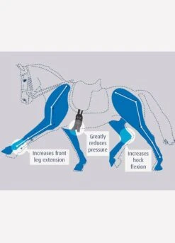 Prolite Short Dressage Girth - Black -Equestrian Supply Store prolitehorsediagramrdy