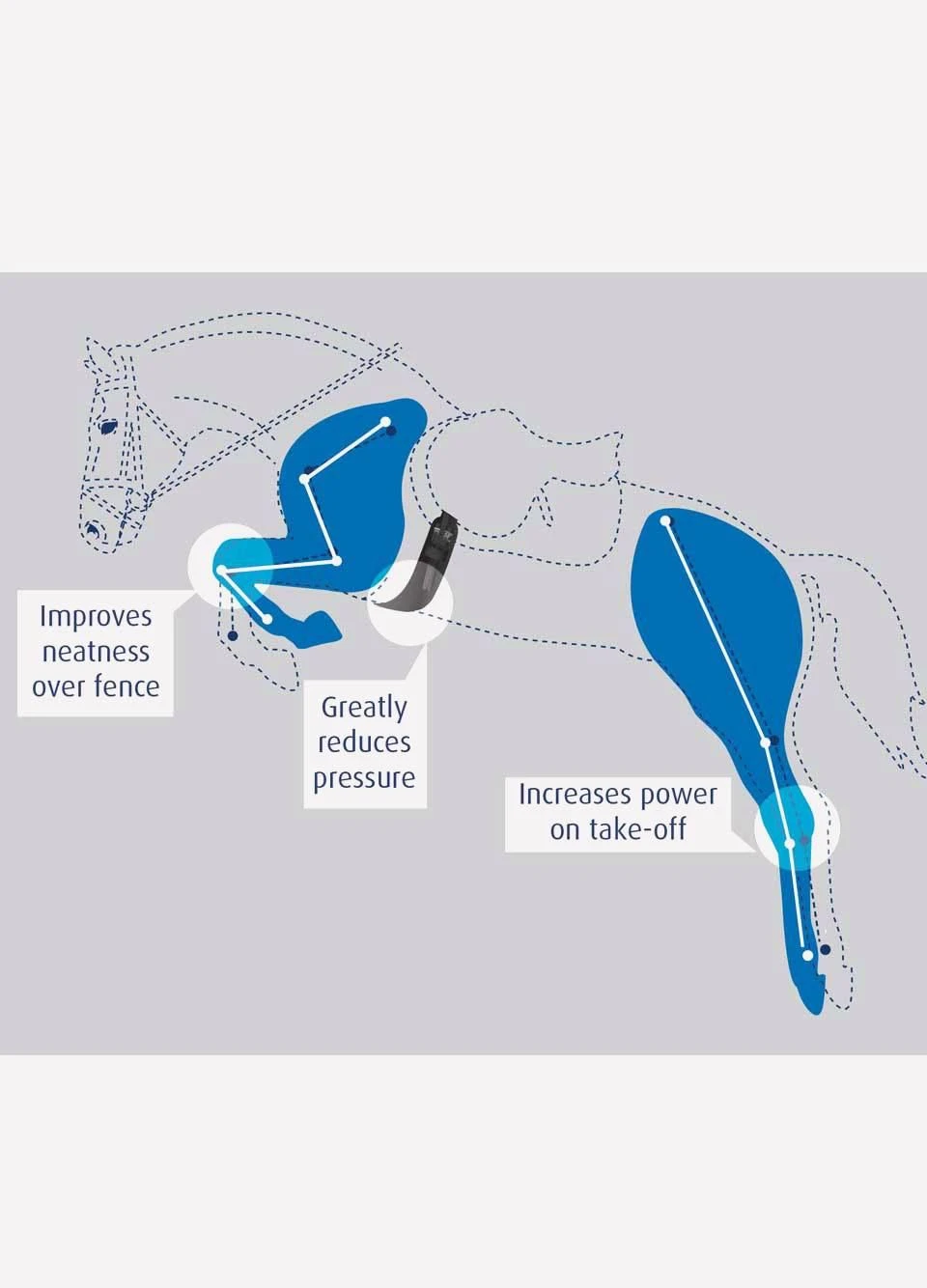 Prolite Long Girth - Standard Gauge - Black 4 Prolite Long Girth - Standard Gauge - Black - Image 2