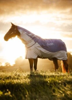 Rambo Autumn Series - Navy/Grey