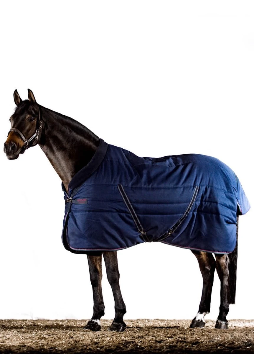 Rambo Cosy Stable Rug 100g - Navy/Burgundy 3 Rambo Cosy Stable Rug 100g - Navy/Burgundy