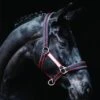 Rambo Padded Headcollar - Witney Cherry