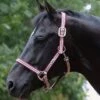 Weatherbeeta Coordinate Headcollar - Ruby -Equestrian Supply Store rubyheadcollar