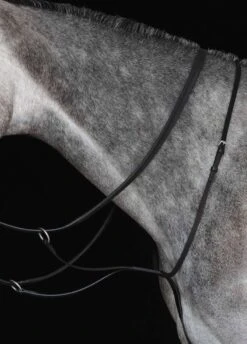 Collegiate New Running Martingale - Black