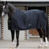 New Bucas Shamrock Power Rug - Black -Equestrian Supply Store samrockblack