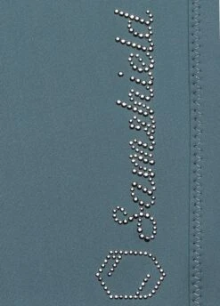 Samshield Ladies Adèle Breeches - Steel Grey -Equestrian Supply Store samshieldadelegrey3rdy