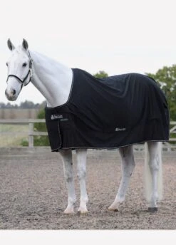 New Bucas Shamrock Power Rug - Black -Equestrian Supply Store shamrockpowerblk2rdy