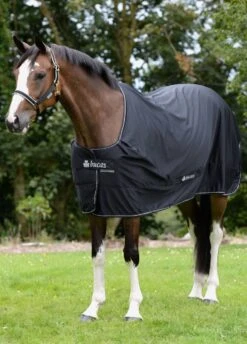 New Bucas Shamrock Power Rug - Black -Equestrian Supply Store shamrockpowerblkrdy