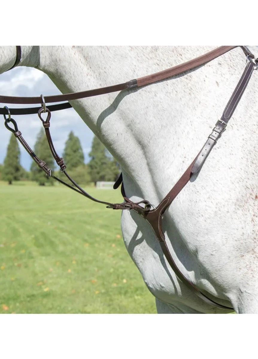 Shires Avignon Breastplate - Havana 3 Shires Avignon Breastplate - Havana
