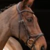 Shires Velociti Rapida Comfort Flash Bridle - Havana 1 Shires Velociti Rapida Comfort Flash Bridle - Havana -Equestrian Supply Store shires comfort flash havana 1rdy