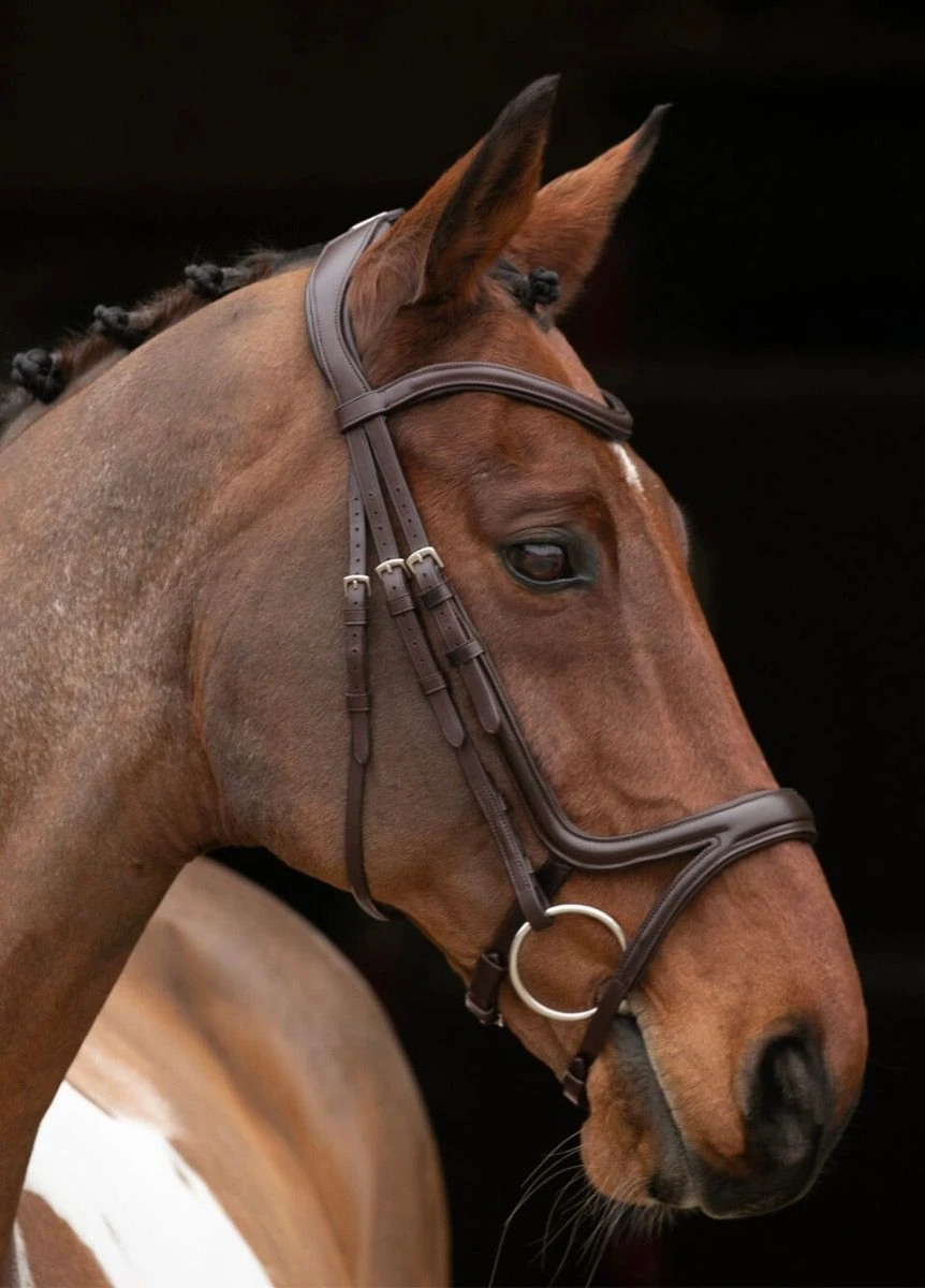 Shires Velociti Rapida Comfort Flash Bridle - Havana 3 Shires Velociti Rapida Comfort Flash Bridle - Havana